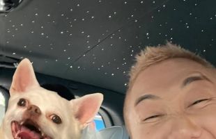 ̹