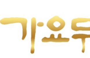 ̹