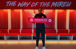 ����̹���