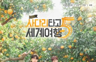 ����̹���