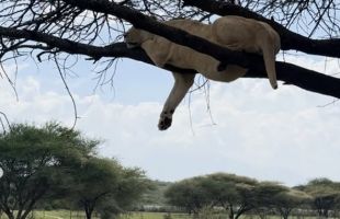 ����̹���