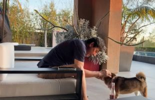 ����̹���