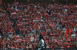 ����̹���