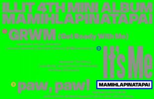 ����̹���